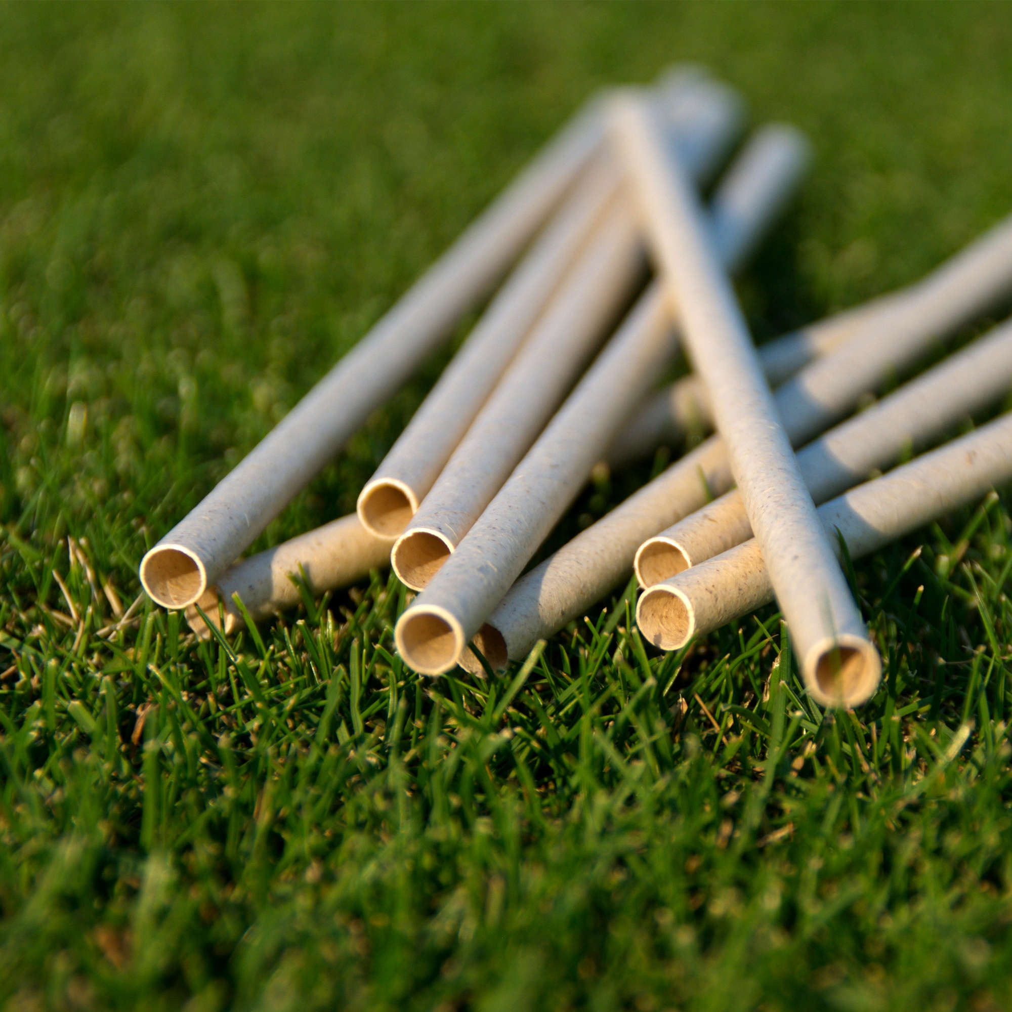Bio-Strohhalme Graspapier Trinkhalme 21cm (40 Stück)