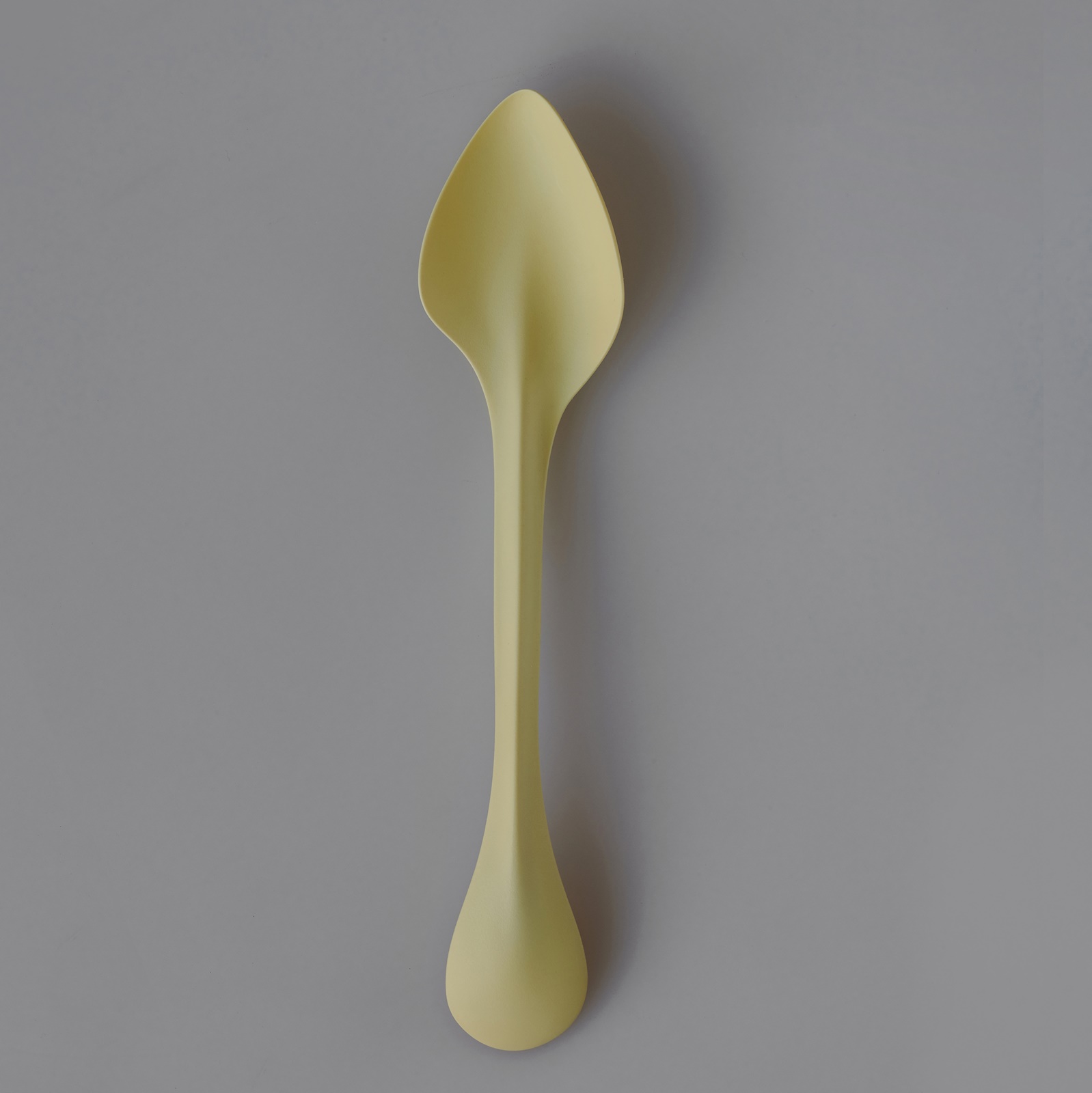 Balaenos Reste Löffel