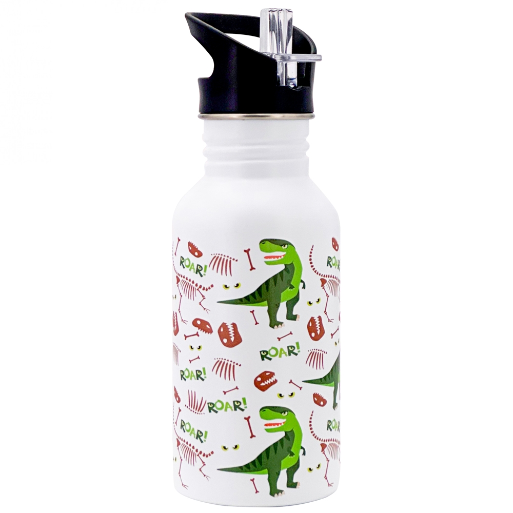 Dora´s Retro Edelstahlflasche "Dino" 500ml einwandig mit Push Pull