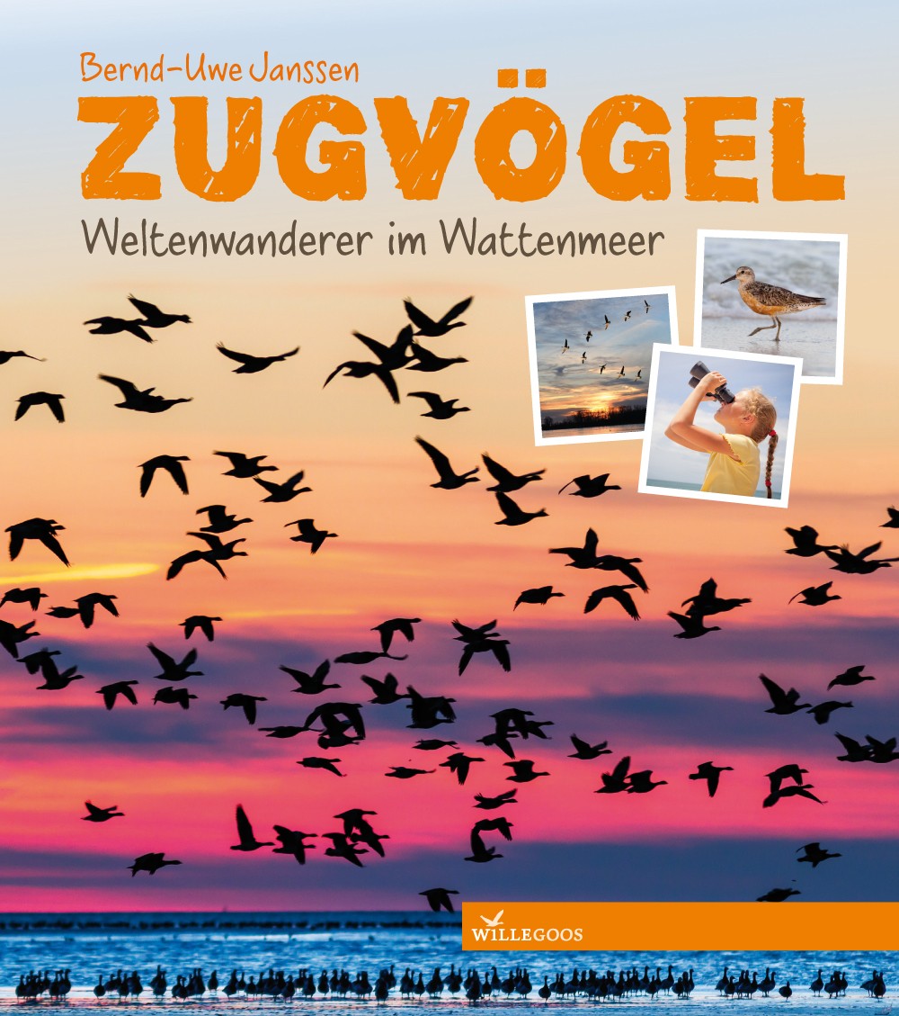 Kinderbuch "Zugvögel: Weltenwanderer im Wattenmeer"