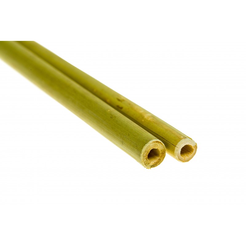 Ecobamboo Bambus Trinkhalme (2 Stück)